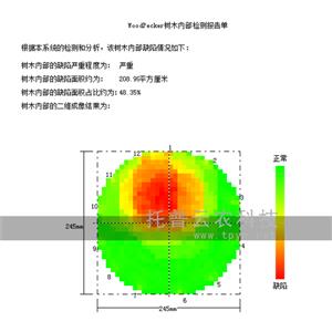 樹木無(wú)損檢測(cè)探傷儀