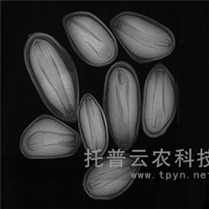 農(nóng)用X光機