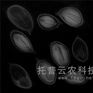 農(nóng)用X光機