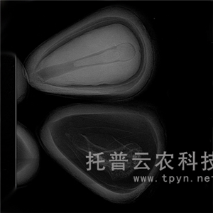 農(nóng)用X光機