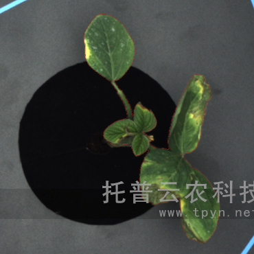 高通量逆境模擬及植物生長監(jiān)測平臺