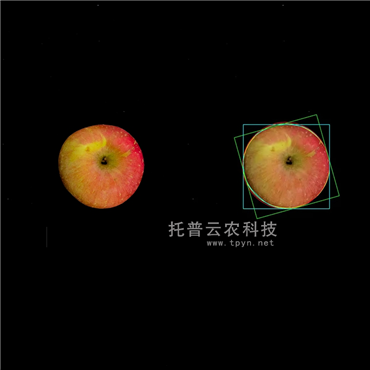 高光譜品質(zhì)分析儀(果實(shí))