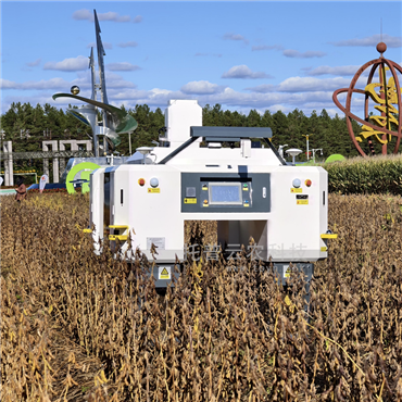 無人車式高通量表型采集分析平臺(橫跨式)