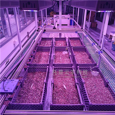 室內(nèi)種子萌發(fā)表型監(jiān)測(cè)系統(tǒng)