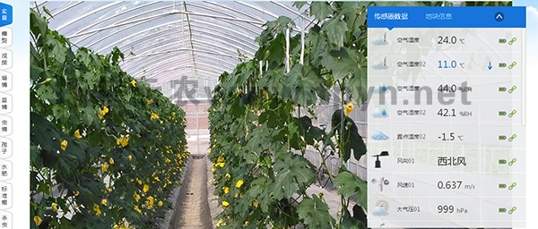 農林生態(tài)遠程實時監(jiān)測系統(tǒng)