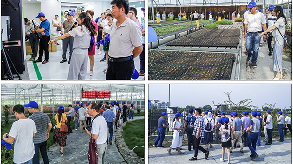 水肥一體化技術(shù)應(yīng)用