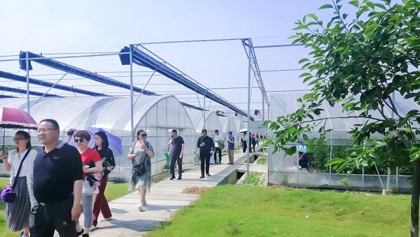 托普云農(nóng)助力青海省農(nóng)機信息化，海西州農(nóng)機中心來杭培訓