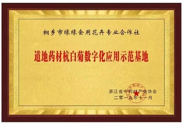 道地藥材數(shù)字化應(yīng)用發(fā)布，杭白菊產(chǎn)業(yè)迎來數(shù)字化變革