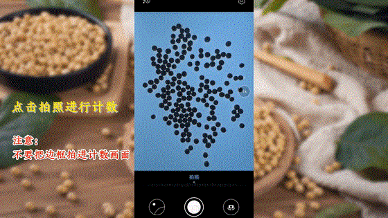 “蟲(chóng)臉識(shí)別”開(kāi)啟人工智能產(chǎn)業(yè)應(yīng)用新篇章