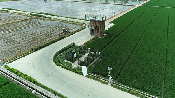 古林高標準農(nóng)田