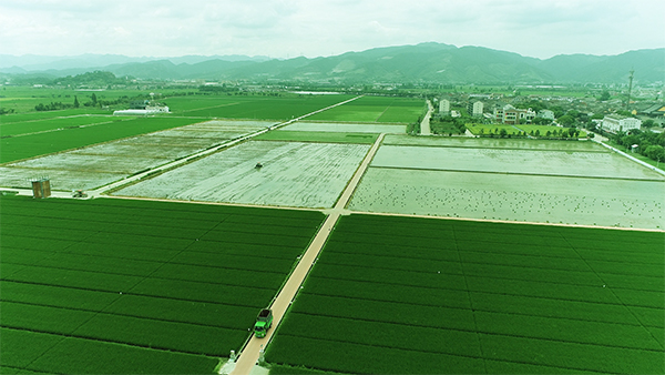 古林高標準農(nóng)田