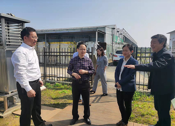 楊華副院長一行參觀托普云農(nóng)農(nóng)業(yè)生產(chǎn)示范基地?