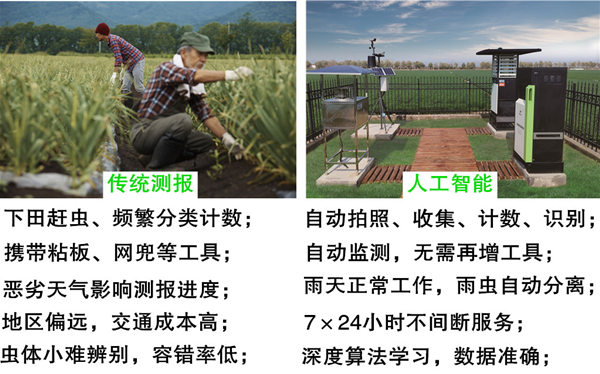 圖像拍拍就能對農(nóng)作物蟲害了如指掌，托普云農(nóng)怎么做到的