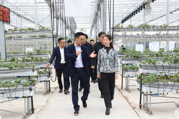 培訓班一行走進示范園，董事長陳渝陽陪同