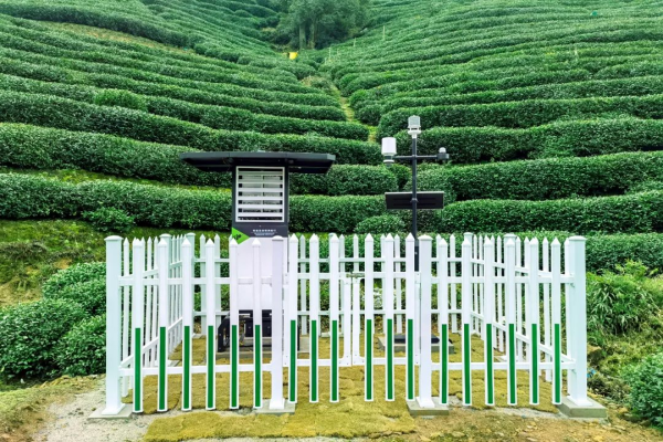 圖:托普云農(nóng)打造的茶園病蟲害監(jiān)測點