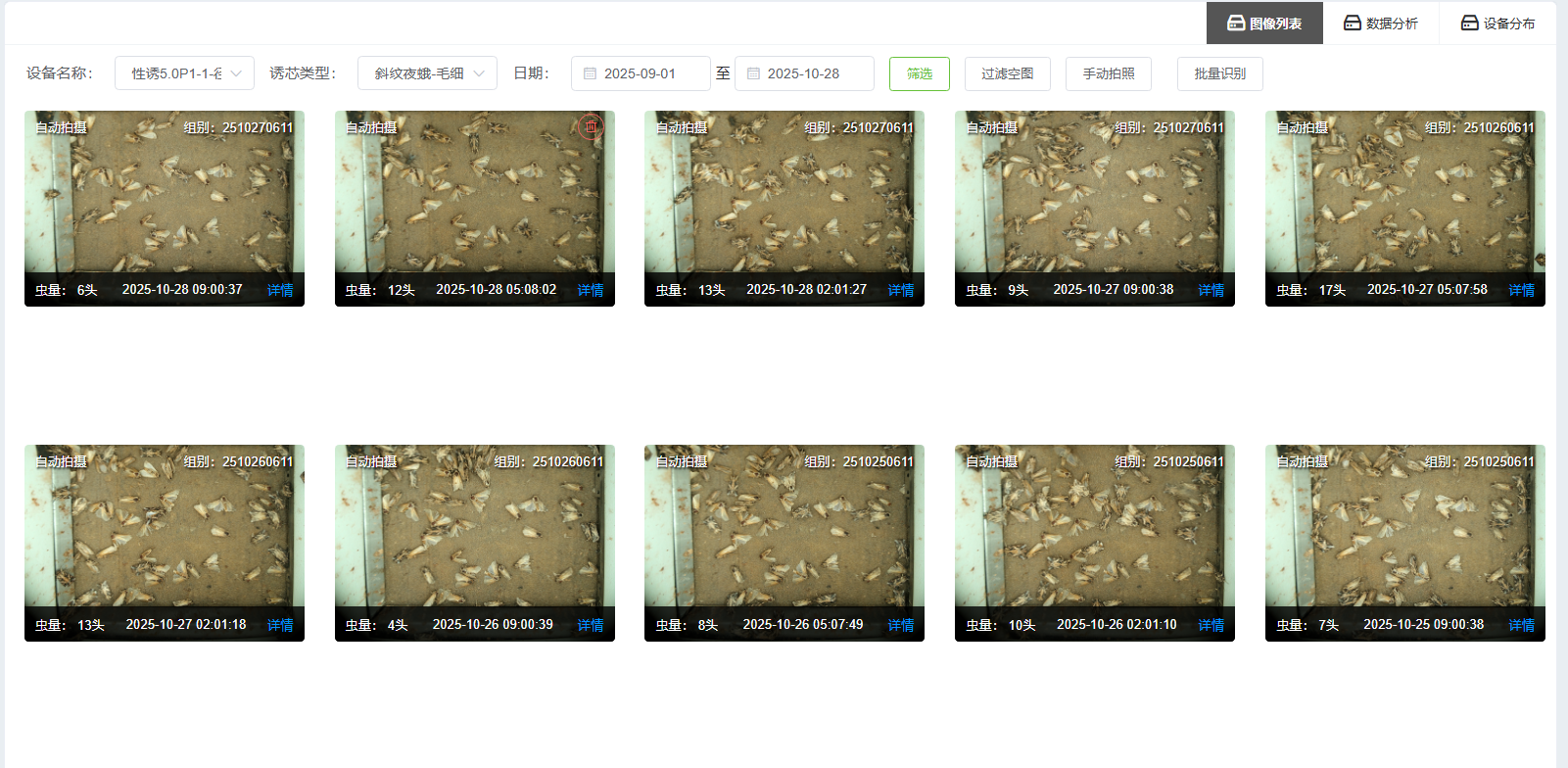 蟲(chóng)情列表